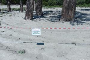  &copy;&nbsp;Фото пресс-службы министерства природных ресурсов Краснодарского Края