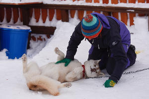 Тест-драйв SKODA Yeti в Красной Поляне &copy;&nbsp;Фото Елены Синеок, Юга.ру