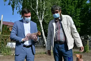  &copy;&nbsp;Фото пресс-службы администрации Краснодара