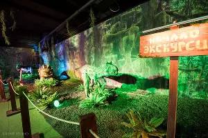  &copy;&nbsp;Фото пресс-службы &laquo;Сочи Парка&raquo;