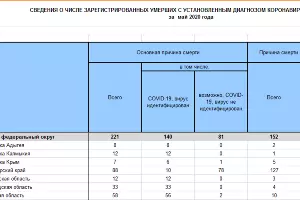  &copy;&nbsp;Скриншот таблицы с данными Росстата