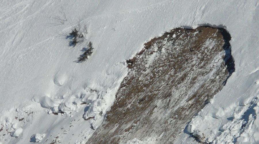  &copy;&nbsp;Фото с сайта pixabay.com