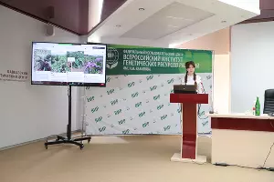  &copy;&nbsp;Фото пресс-службы АГУ