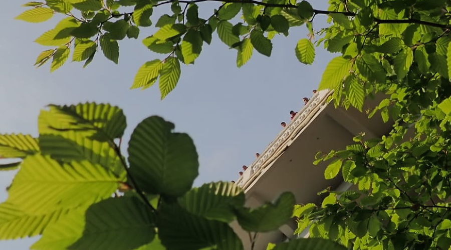  © Фото пресс-службы Южного регионального поисково-спасательного отряда МЧС России