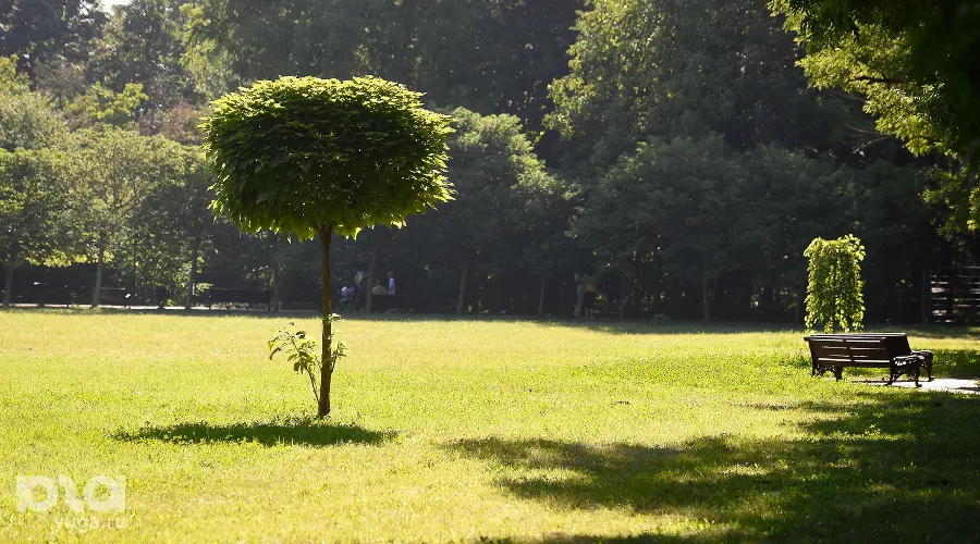  &copy;&nbsp;Фото Елены Синеок, Юга.ру