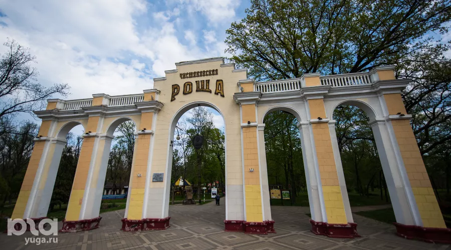 Чистяковская роща &copy;&nbsp;Фото Елены Синеок, Юга.ру
