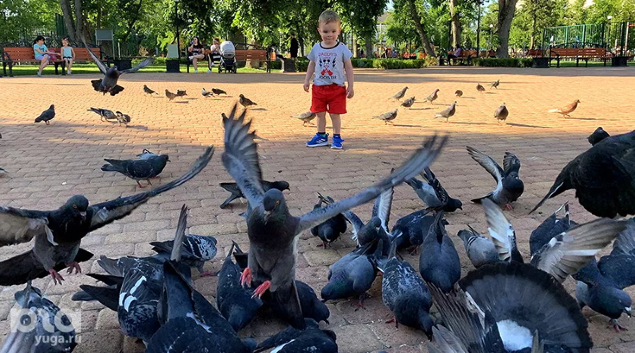  &copy;&nbsp;Фото Елены Синеок, Юга.ру