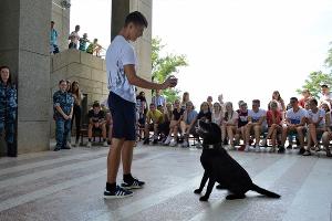  © Фото пресс-службы СУ СК России по Краснодарскому краю