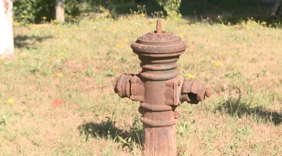  &copy;&nbsp;Скриншот видео из телеграм-канала администрации Краснодара, t.me/krdru