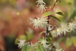  &copy;&nbsp;Фото пресс-службы Сочинского национального парка