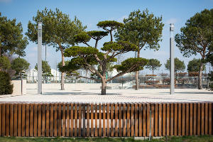 Парк «Краснодар»  &copy;&nbsp;Фото Елены Синеок, Юга.ру