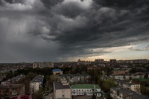  © Фото Елены Синеок, Юга.ру