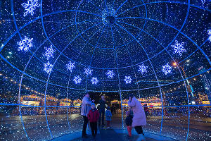 Новогодние ярмарки Краснодара © Фото Елены Синеок, Юга.ру