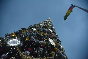  &copy;&nbsp;Фото Елены Синеок, Юга.ру