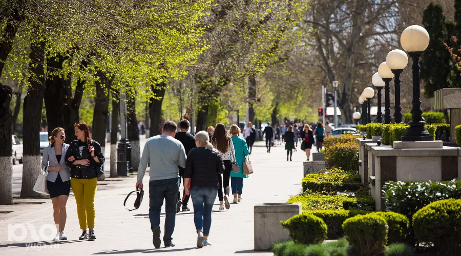  &copy;&nbsp;Фото Елены Синеок, Юга.ру