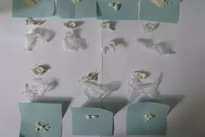  &copy;&nbsp;Фото пресс-службы ГУ МВД по Адыгее