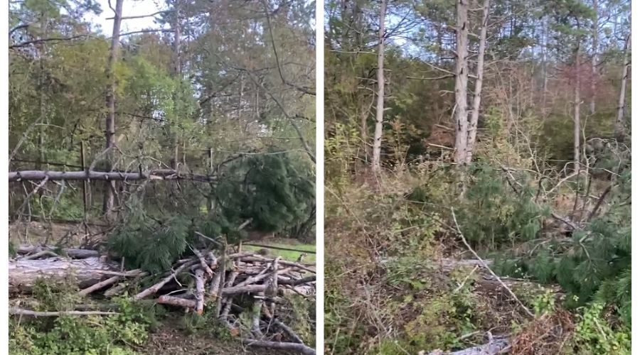  © Скриншот из телеграм-канала «Супер Новости Новороссийска» https://t.me/novosti_novoross/78494