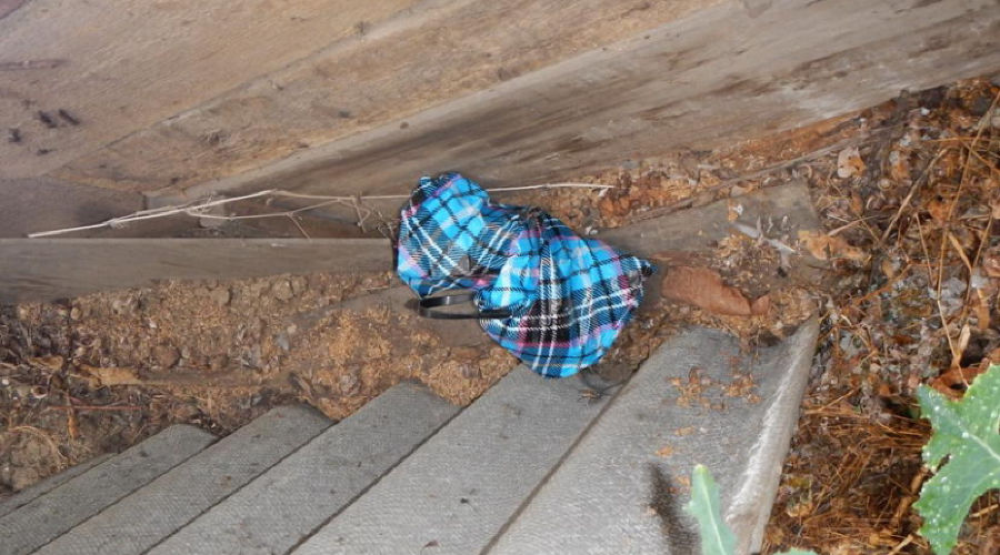  © Фото пресс-службы МВД РФ по Республике Крым