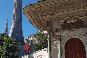  &copy;&nbsp;Фото Анастасии Щегловой, Юга.ру