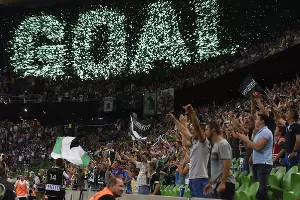  &copy;&nbsp;Фото Елены Синеок, Юга.ру