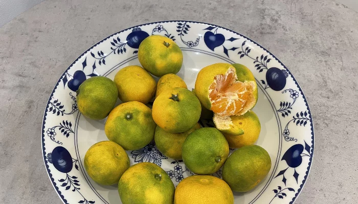 Мандарины &copy;&nbsp;Фото Олеси Шубиной, Юга.ру