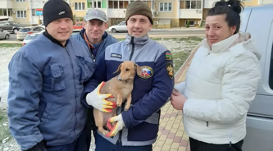  &copy;&nbsp;Фото пресс-службы &laquo;Кубань-СПАС&raquo;