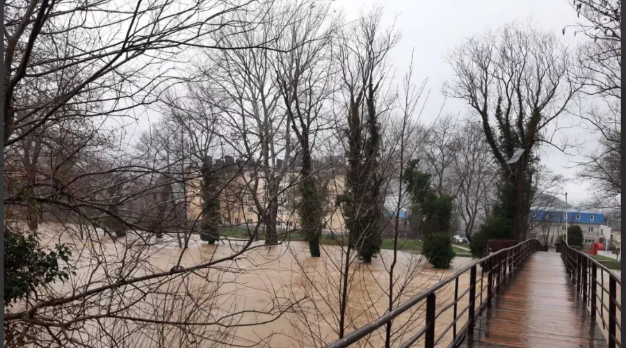  &copy;&nbsp;Скриншот из телеграм-канала мэра Геленджика Алексея Богодистова https://t.me/BogodistovAA/3935