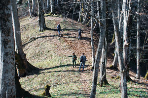 Научные сотрудники проводят зимний мониторин ареала подснежника ризенского © Фото пресс-службы Сочинского нацпарка