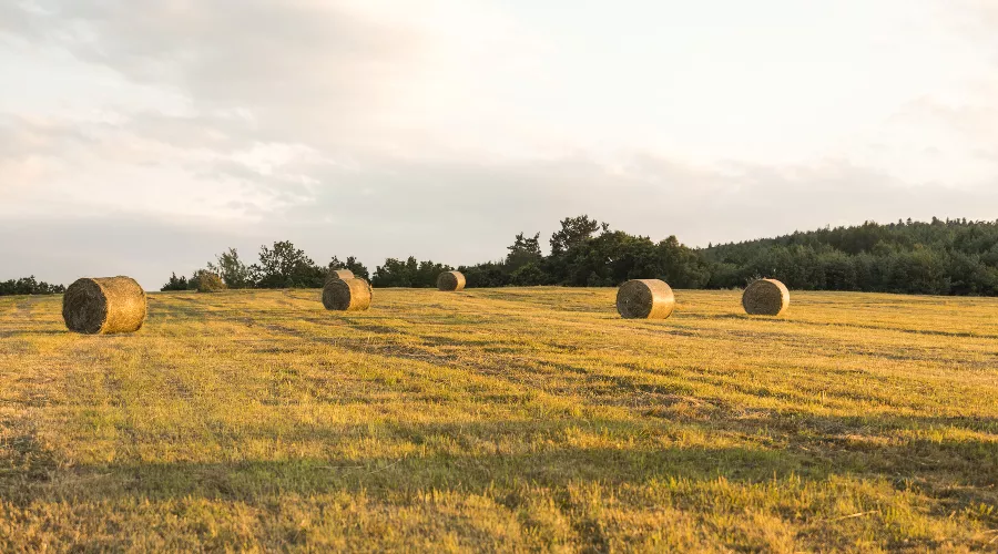  &copy;&nbsp;Автор фото freepik, сайт freepik.com