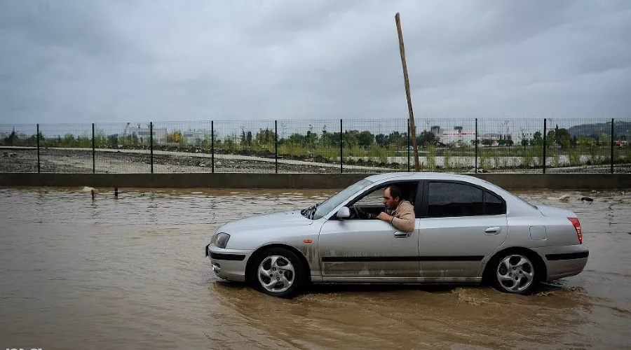  &copy;&nbsp;Фото Нины Зотиной, Юга.ру