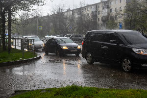  © Фото Елены Синеок, Юга.ру