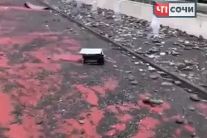  &copy;&nbsp;Фото со страницы instagram.com/chp_sochi