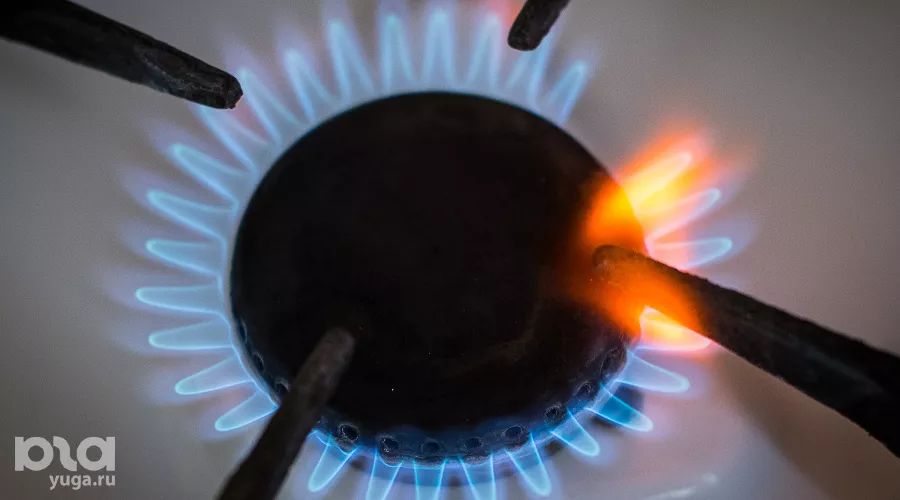  &copy;&nbsp;Фото Елены Синеок, Юга.ру