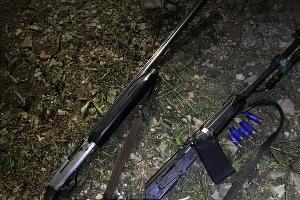  © Фото пресс-службы Сочинского нацпарка