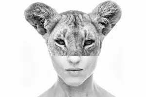  &copy;&nbsp;Фото из группы &laquo;Все как у зверей&raquo;, vk.com/vse_kak_u_zverey