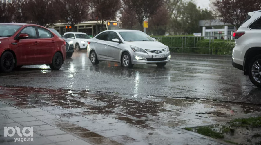  &copy;&nbsp;Фото Елены Синеок, Юга.ру