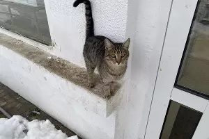  &copy;&nbsp;Фото Валерии Кирсановой