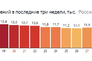  &copy;&nbsp;Изображение с сайта yandex.ru/covid19/stat