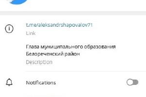  © Скриншот t.me/aleksandrshapovalov71