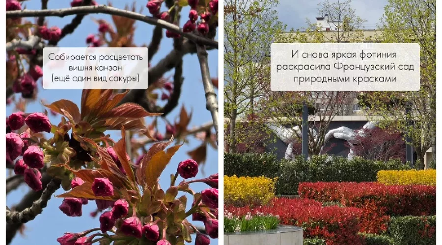  &copy;&nbsp;Скриншот из телеграм-канала &laquo;Парк Краснодар&raquo; https://t.me/parkkrd/5880