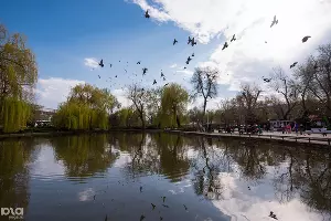 Пруд в парке «Городской сад» в Краснодаре &copy;&nbsp;Фото Елены Синеок, Юга.ру