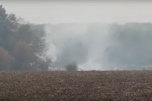  &copy;&nbsp;Скриншот видео со страницы youtube.com/watch?v=8UXyjVnqvf4&t=11s