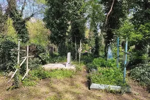 Дубинское кладбище &copy;&nbsp;Фото Иолины Грибковой, Юга.ру