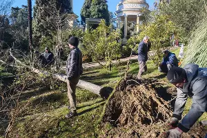  &copy;&nbsp;Скриншот фото из телеграм-канала МЦУ Сочи