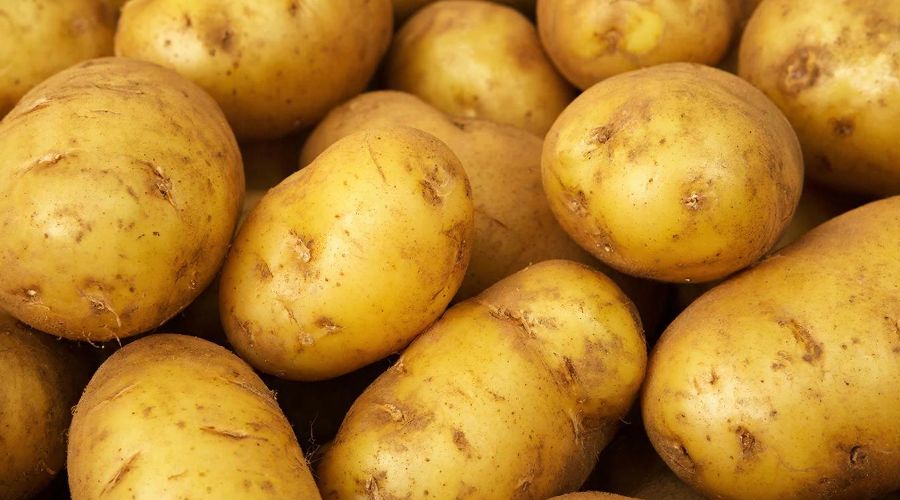 картофель © татьяна Соколова