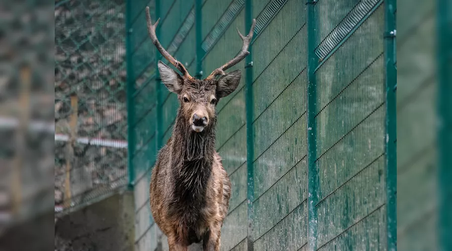 Экологическая акция "Билайна" в Кавказском биосферном заповеднике &copy;&nbsp;Нина Зотина, ЮГА.ру