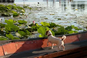  &copy;&nbsp;Фото Марины Солошко, Юга.ру