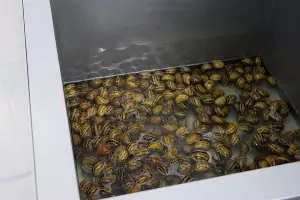  &copy;&nbsp;Фото Марины Солошко, Юга.ру