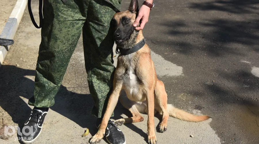  &copy;&nbsp;Фото Елены Синеок, Юга.ру