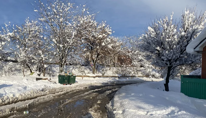  &copy;&nbsp;Фото Валерии Кирсановой